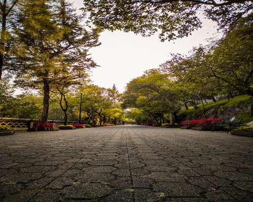 calm walk through a Mexican city park